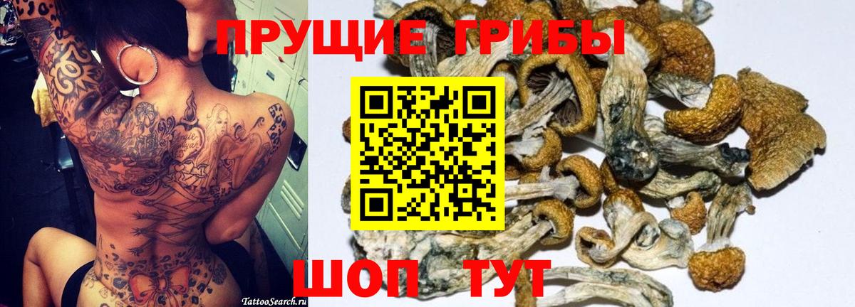 Галлюциногенные грибы прущие грибы Спасск-Дальний